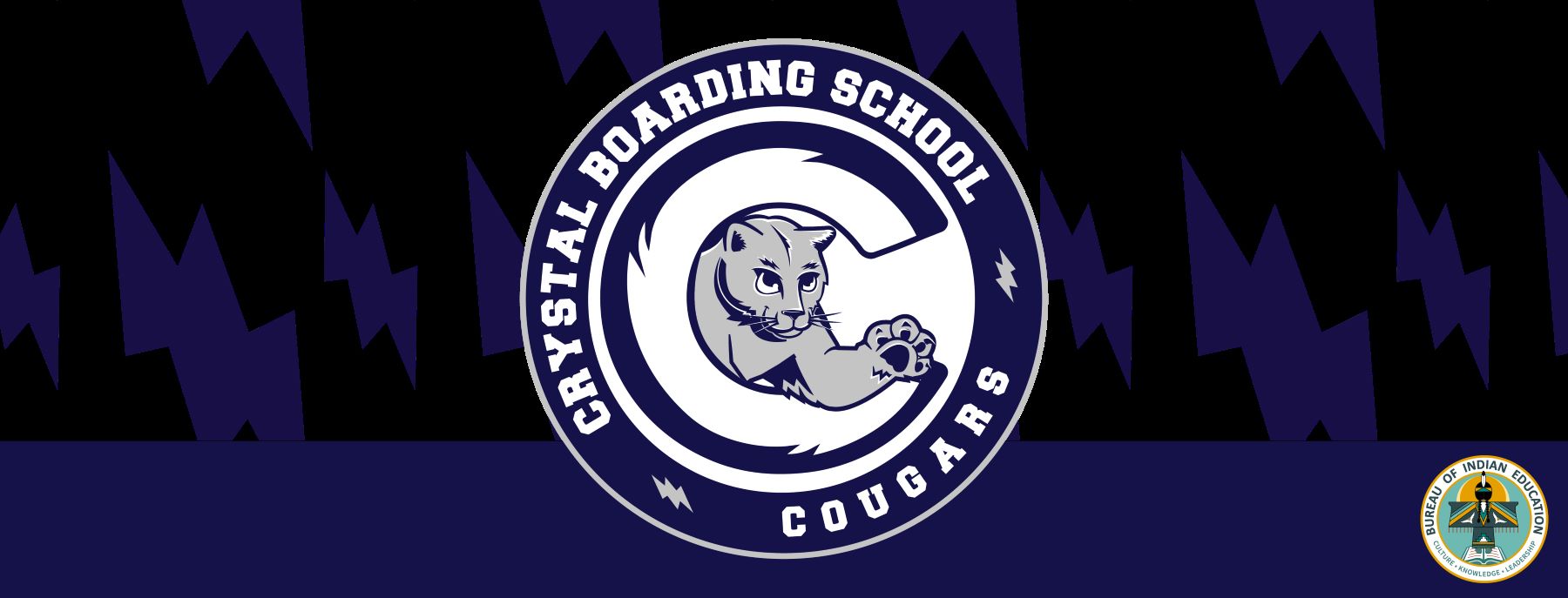Crystal Boarding School logo on a sleek black and blue background.